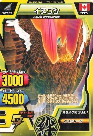 予約販売 Amazon.co.jp: グッズ ハクトウワシ 金レア アニマル