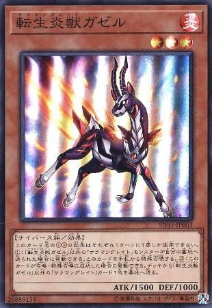 にゃんこ大戦争 幼獣ガオ トレーディングカード ちっさ