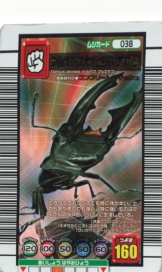 甲虫王者ムシキング アルキメデスオオヒラクワガタ 038