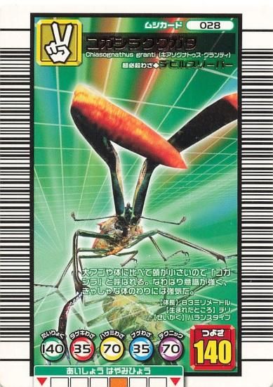 甲虫王者ムシキング コガシラクワガタ 028 - トレーディング 甲虫王者ムシキング コガシラクワガタ 028 - トレーディング