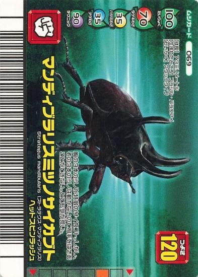 ムシキングカード マンディブラリスカブトムシ トレーディングカード 甲虫王者ムシキング フォレストグリーン マンディブラリスミツノ