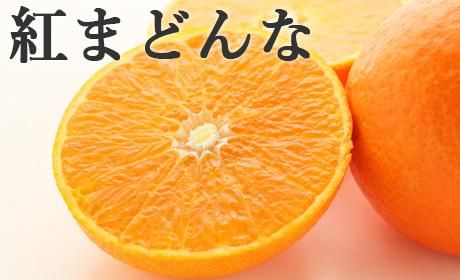 Ȥޤɤʡߤ󡡸