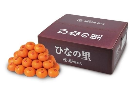 送料無料 日本 真穴みかん ひなの里 5kg s 御歳暮 贈答 秀品 みかん 5キロ 果物
