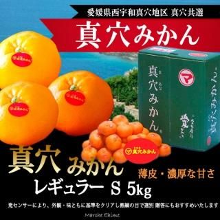 真穴みかん レギュラー 5kg Sサイズ 良品 西宇和みかん 天皇杯 真穴みかん レギュラー 5kg Sサイズ 良品 西宇和みかん 天皇杯