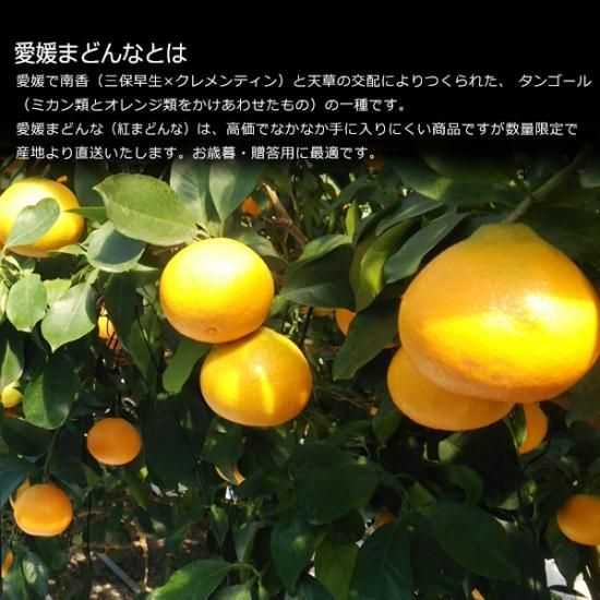 楽天市場】紅まどんな 10個の通販
