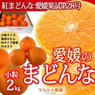 紅まどんな 秀品 愛媛のまどんな 御歳暮 紅まどんな 秀品 愛媛のまどんな 御歳暮