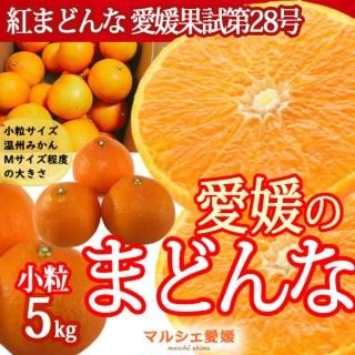 ɲΤޤɤ Ȥޤɤ γ kg 5  ȥޥɥ  ߤ  ե롼ĥɤ˺Ŭ ϰ ̵