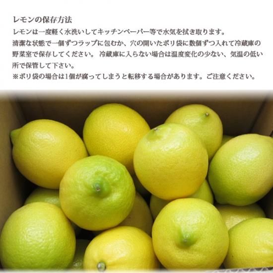 今季販売終了※【送料無料】愛媛生まれの新品種！高級柑橘「紅