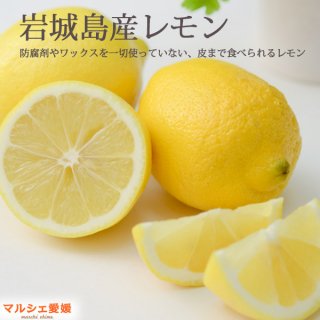国産 レモン 秀品 10kg 生レモン 瀬戸内産 防腐剤不使用 皮まで食べられる 一部地域 送料無料
