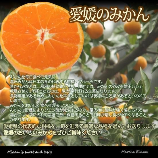 みかん 2kg 2キロ サイズ混合 箱買い ミカン 家庭用 良品 愛媛 みかん 2kg 2キロ サイズ混合 箱買い ミカン 家庭用 良品 愛媛