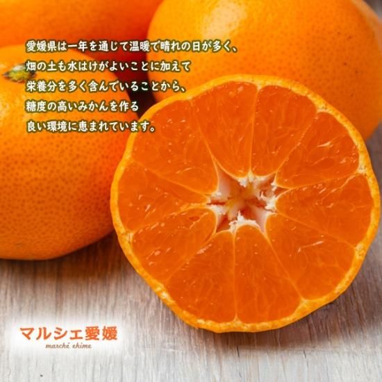 みかん 2kg 2キロ サイズ混合 箱買い ミカン 家庭用 良品 愛媛 みかん 2kg 2キロ サイズ混合 箱買い ミカン 家庭用 良品 愛媛