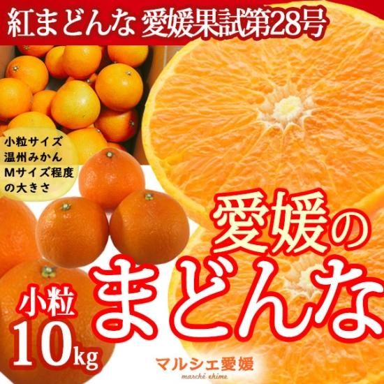 愛媛のまどんな 紅まどんな 小粒 10kg 10キロ 家庭用 紅マドンナ 愛媛のまどんな 紅まどんな 小粒 10kg 10キロ 家庭用 紅マドンナ