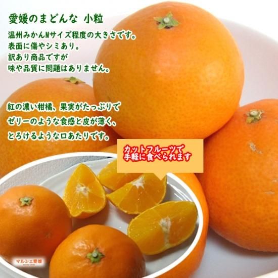 愛媛のまどんな 紅まどんな 小粒 10kg 10キロ 家庭用 紅マドンナ