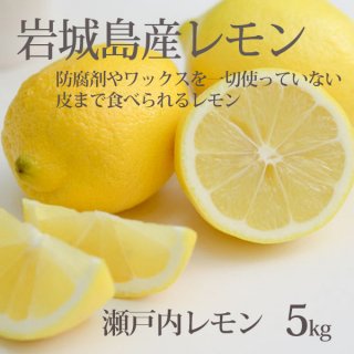国産 レモン 整品 5kg 生レモン 瀬戸内産 防腐剤なし 皮まで食べられる 一部地域 送料無料