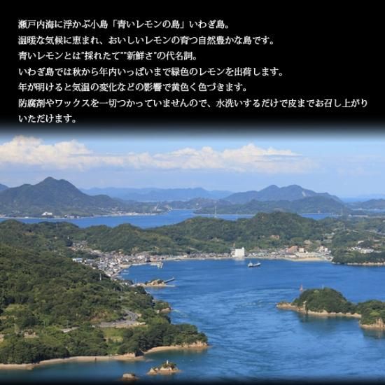 レモン 可品2kg 果汁たっぷり 家庭用 国産 岩城島 一部地域送料無料 レモン 可品2kg 果汁たっぷり 家庭用 国産 岩城島 一部地域送料無料