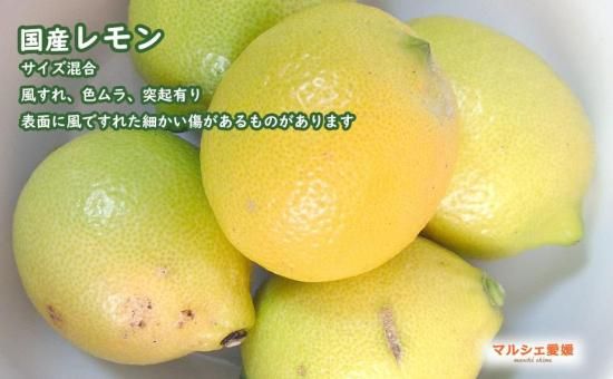 Ⅱ国産瀬戸内レモン10Kg 国産瀬戸田レモン7Kg ②国産瀬戸田レモン - メルカリ