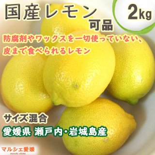 瀬戸内レモン 可品 2kg サイズ混合 Sサイズ Mサイズ Lサイズ 2Lサイズ 皮まで食べられる 防腐剤やワックス不使用 一部地域 送料無料