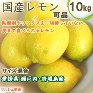 国産レモン 可品 10キロ 岩城島 生レモン サイズ混合 風すれ色ムラ突起有 レモン水に最適 一部地域 送料無料