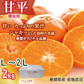 甘平 2kg   贈答用 Lから2L かんぺい みかん 柑橘 愛媛 甘い果汁 一部地域 送料無料