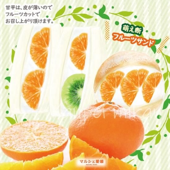 甘平みかん 5キロ 5kg サイズ混合 良品 家庭用 かんぺい 愛媛 甘平みかん 5キロ 5kg サイズ混合 良品 家庭用 かんぺい 愛媛