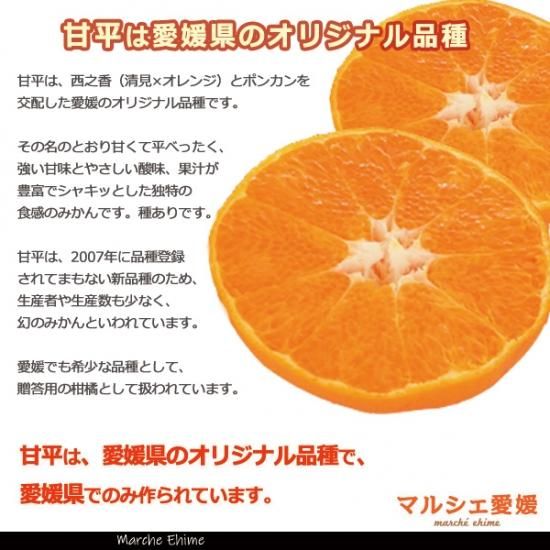 愛媛が誇る高級柑橘・甘平はギフトにもおすすめ【贈答用5kg】