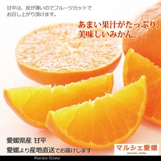 甘平みかん 5キロ 5kg サイズ混合 良品 家庭用 かんぺい 愛媛 甘平みかん 5キロ 5kg サイズ混合 良品 家庭用 かんぺい 愛媛