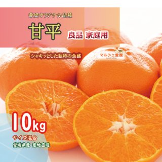 甘平 10kg サイズ混合 良品 家庭用  かんぺい 愛媛 みかん 柑橘 産地直送 一部地域 送料無料