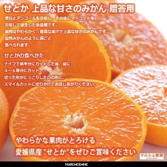 【東北】せとか 小玉10kg 愛媛県産 ※北海道、東北、沖縄への発送不可 東北】せとか 小玉10kg 愛媛県産 ※北海道、東北、沖縄への発送不可