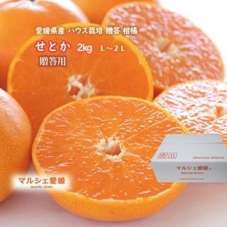 せとか 贈答用 ハウス栽培 みかん 産地直送 一部地域送料無料 せとか 贈答用 ハウス栽培 みかん 産地直送 一部地域送料無料