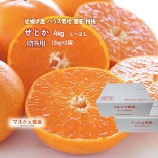 愛媛県産　せとか　箱込み約4Kg