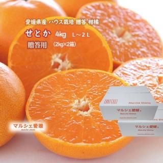 Ȥ ߤ 2kg 2Ȣ £ ϥ ꡼Τ褦ʽ餫ʲȾʤʴŤ ɲ  ϰ̵