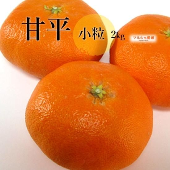 甘平 小粒 2kg サイズ混合 愛媛 みかん かんぺい 柑橘 ふるさと 甘平 小粒 2kg サイズ混合 愛媛 みかん かんぺい 柑橘 ふるさと