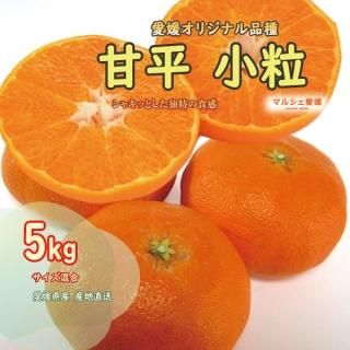 ʿߤ γ 5kg 5   ڤ ɲ ߤ դ뤵  ϰ ̵