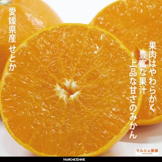 みかん せ とか