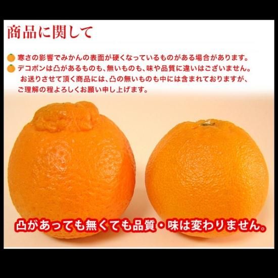 デコポン 優 2l 5kg 三崎 小玉 約玉 ギフト 不知火 産地直送 デコポン 優 2l 5kg 三崎 小玉 約玉 ギフト 不知火 産地直送