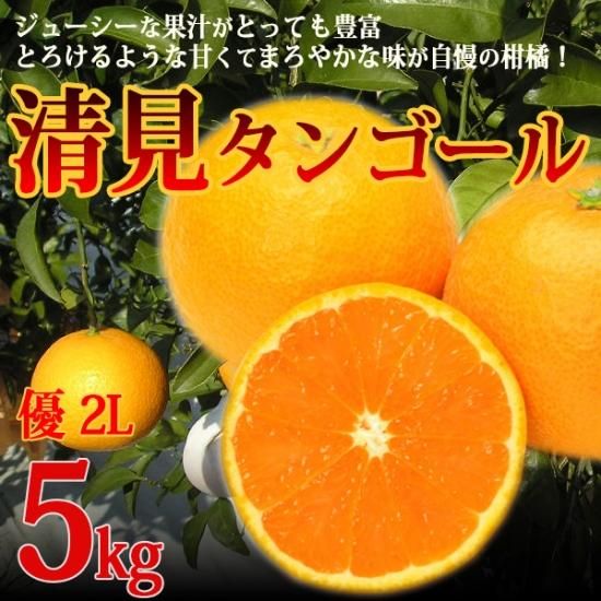 清見タンゴール 優 2l 5kg 樹上越冬栽培 三崎の完熟 清見オレンジ 家庭用 ギフト Orange 清見タンゴール 優 2l 5kg 樹上越冬栽培 三崎の完熟 清見オレンジ 家庭用 ギフト Orange
