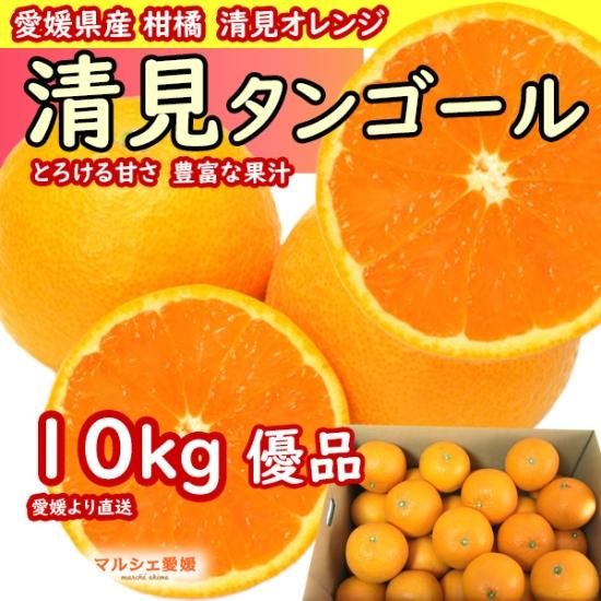 清見タンゴール 優 l 10kg 樹上越冬栽培 三崎の完熟 清見オレンジ 家庭用 ギフト Orange 清見タンゴール 優 l 10kg 樹上越冬栽培 三崎の完熟 清見オレンジ 家庭用 ギフト Orange