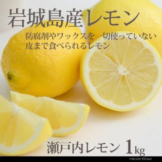国産 レモン 整品 1kg 生レモン 瀬戸内産 防腐剤なし 皮まで食べられる 一部地域 送料無料