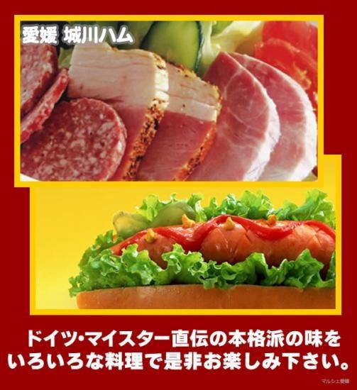 自然牧場特選ギフトセット ハムギフト 城川自然牧場 自然牧場特選ギフトセット ハムギフト 城川自然牧場