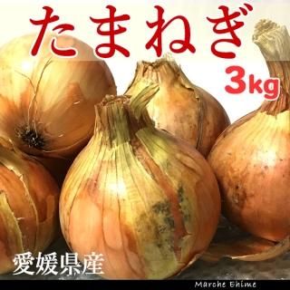 たまねぎ,玉ねぎ