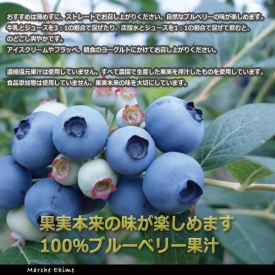 高山ガーデン ブルーベリージュース ストレートタイプ 500ml 2本 国産 100 ブルーベリー果汁 高山ガーデン ブルーベリージュース ストレートタイプ 500ml 2本 国産 100 ブルーベリー果汁