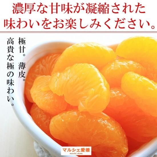 真穴みかん 優品 M Lサイズ 10kg 天皇杯受賞 西宇和みかん まあ