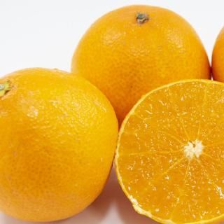紅まどんな 秀品 御歳暮 ギフト 越智今治 えひめ中央 紅まどんな 秀品 御歳暮 ギフト 越智今治 えひめ中央
