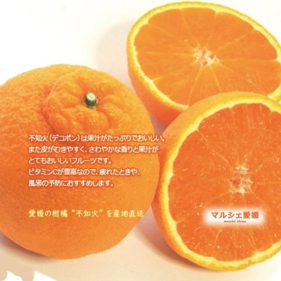 ご予約開始！ ご家庭用 不知火（しらぬい）デコポン約5kg（約15