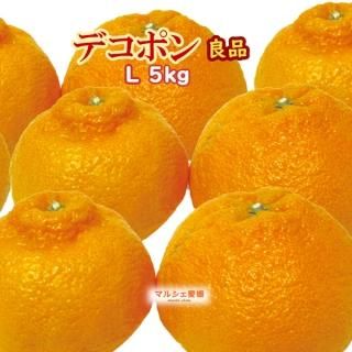 デコポン 不知火 愛媛県産 産地直送 フルーツギフト デコポン 不知火 愛媛県産 産地直送 フルーツギフト