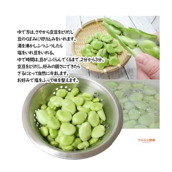 空豆 そら豆 松山一寸そらまめ 約2キロ ソラマメ サヤ付 愛媛