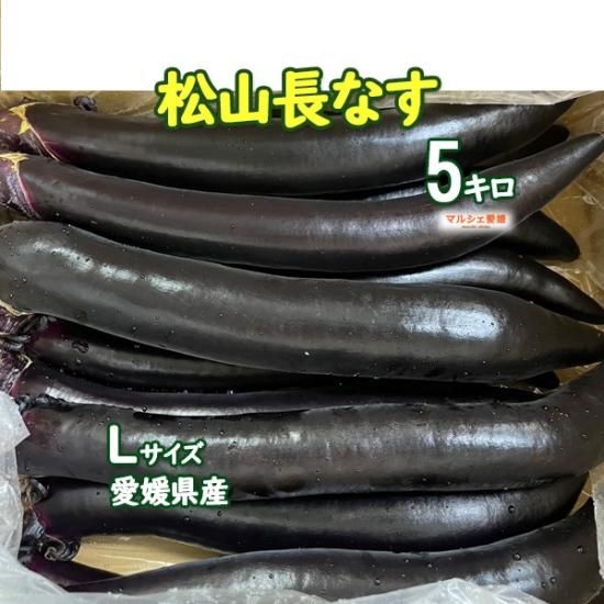 なす 松山長なす 5キロ L 秀品 なす 5kg 愛媛 松山 冷蔵 一部地域 送料無料
