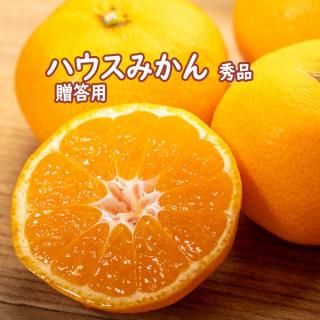 ߤ  5  ߤ S M L  ϥߤ £ 渵 ƥե ¢ ɲ ϰ ̵