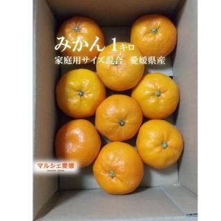 ߤ 1 ߤ  1kg ʾ   Ȣ㤤  ߤ  ɲϰ衡̵