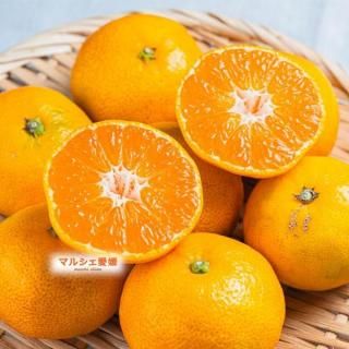 ߤ ߤ   1   1kg Ȣ㤤  ߤ  ɲ  ϰ ̵